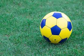 体育数据研究应用