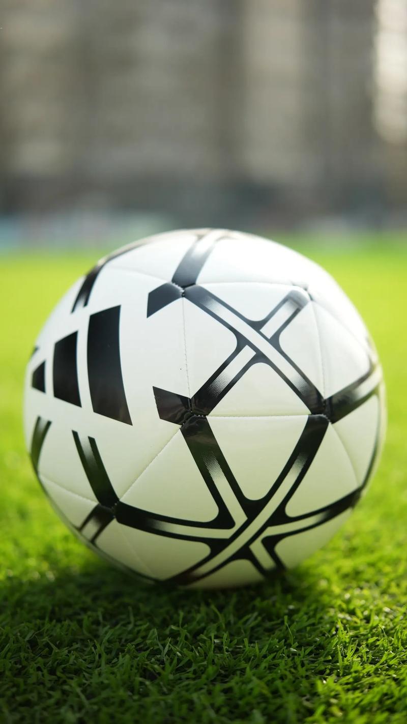 21045期足彩对阵表应用下载界面